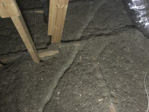 Rats in attic Huntsville
